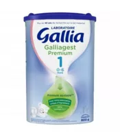 Gallia Galliagest Premium 1 Lait En Poudre B/800g à VERNOUX EN VIVARAIS